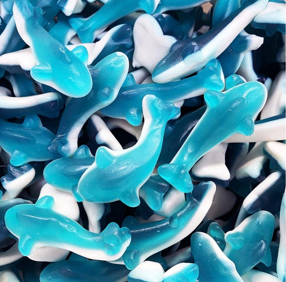 Blueberry Dolphins Pick a Box NZ